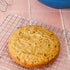 Bocce's Bakery Birthday Cake Mix for Dogs - Poudre Pet and Feed Supply